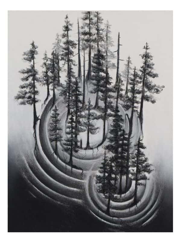 Jillian Ballas - BA Fine Art drawing by Jillian Ballas showing surrealist imagery of a evergreen forest created in charcoal.