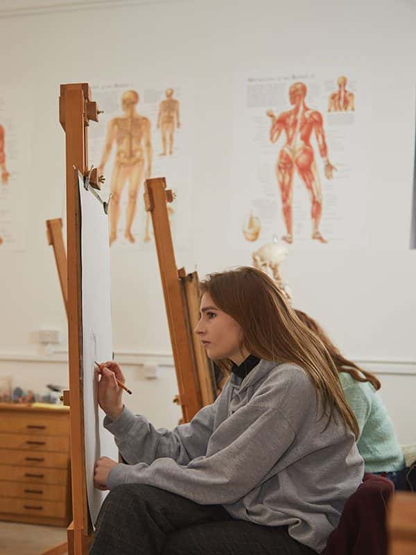  - A student with long straight hair draws in pencil at a wooden easel. In the background, large scientific posters show the musculature of the human body.