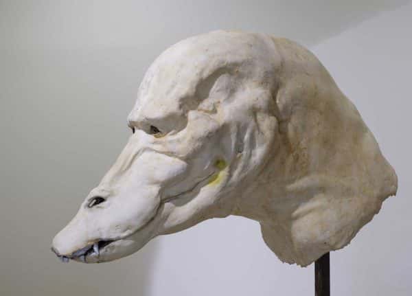Tom Browning, MA Fine Art - Large white anatomical model of a creature's head on a metal pole