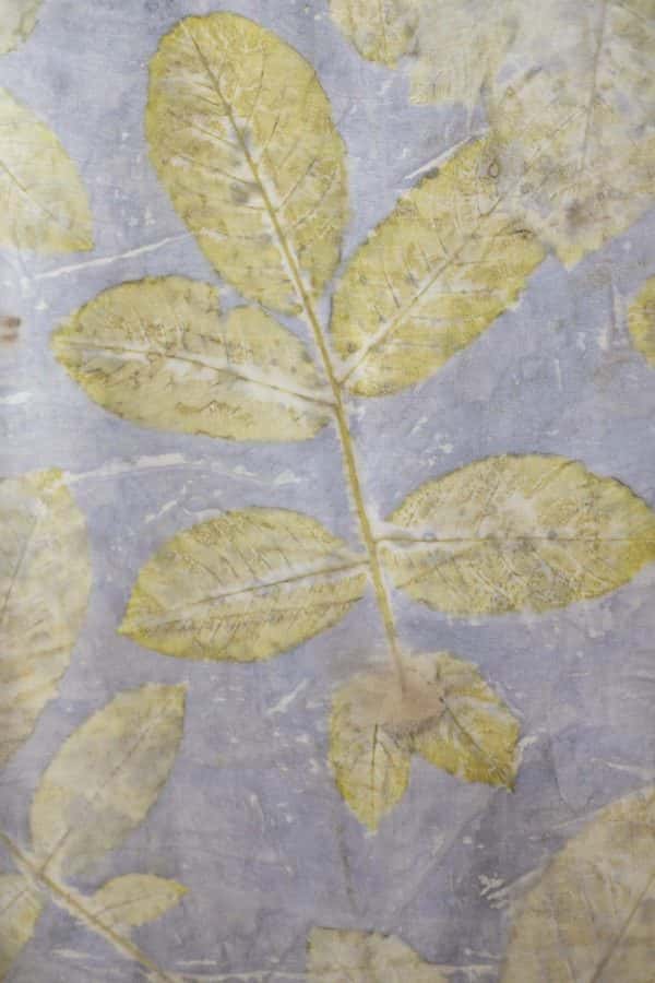 Maria Clarke-Wilson - Close up of MA Textile Design work showing a pale grey fabric background with pale gold leaf pattern