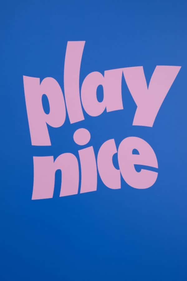 Stephen Gombakomba - Campaign design by BA Fashion Communication and Promotion student Stephen Gombakomba. A blue background with pink lettering, spelling 'play nice', warped.