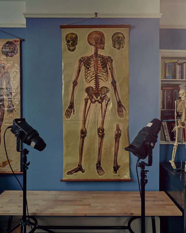 Professor Richard Sawdon Smith's studio - the main focus of this image is a large anatomy poster of a human. there is a wooden bench underneath with two photography lights in front of the posters. The poster is placed on a blue wall with a bookshelf and a mini human skeleton model next to it.